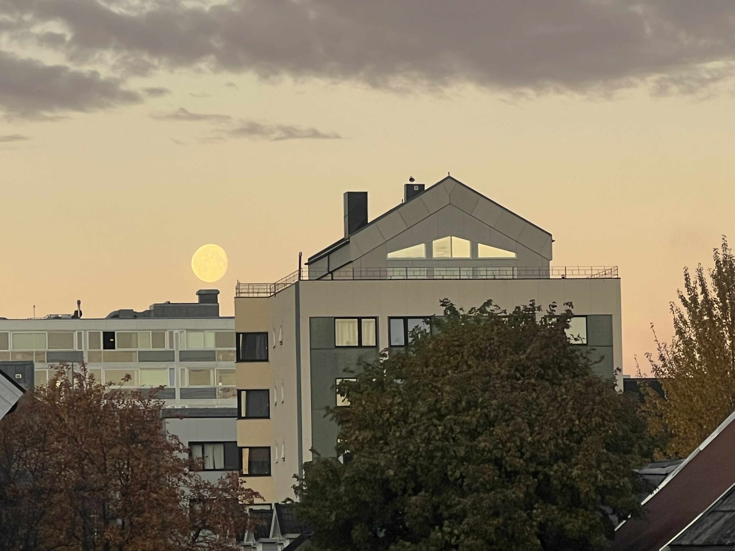 Utsikt til leilighetsbygg